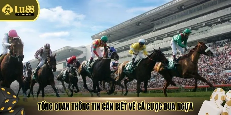 Tổng quan thông tin cơ bản cần biết về cá cược đua ngựa